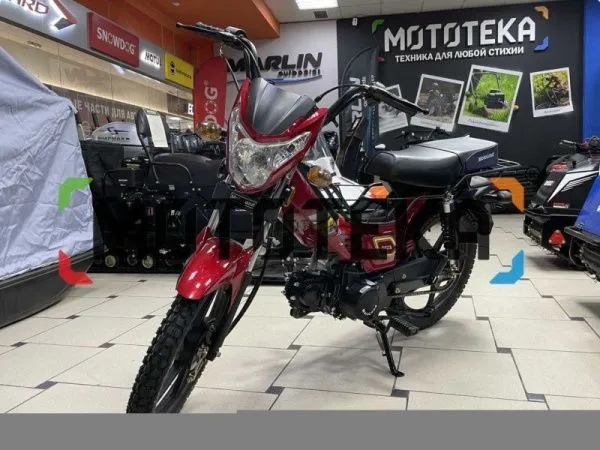 Мопед MotoLand (Мотолэнд) Дельта (А) | Мототека