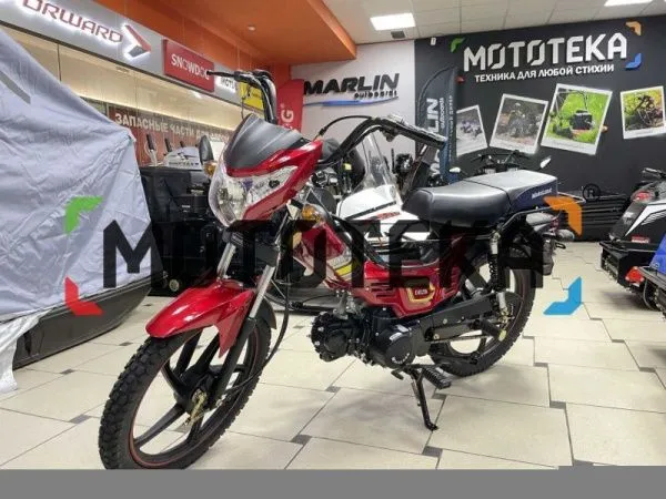 Мопед MotoLand (Мотолэнд) Дельта (А) | Мототека